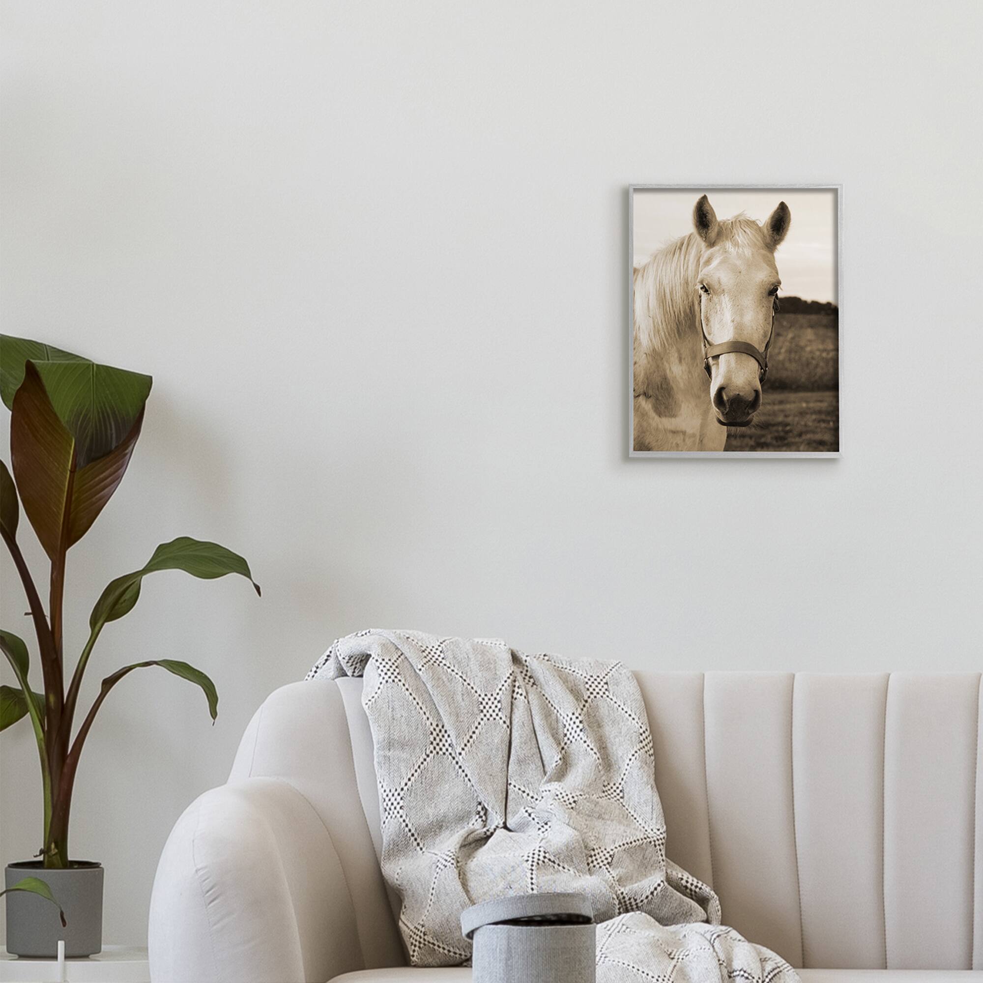Stupell Industries Rustic Sepia tone Portrait of White Horse in Gray Frame Wall Art